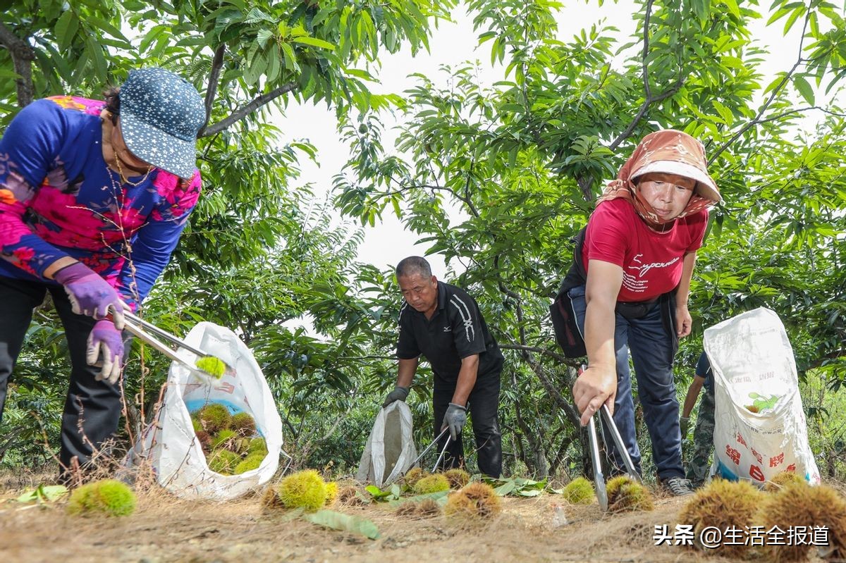 从中国制造转身为中国智造,从中国制造到中国智造未来