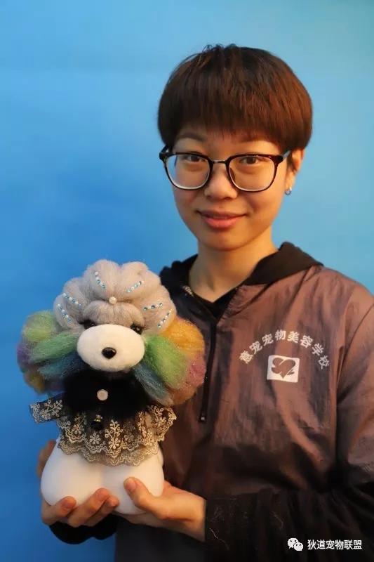 青岛璀璨国际宠物美容培训学校,意宠宠物美容学校