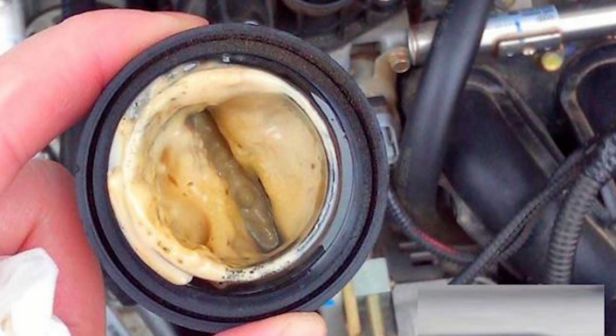 为什么不建议面包车，更换5W-40全合成机油，修理工告诉你原因