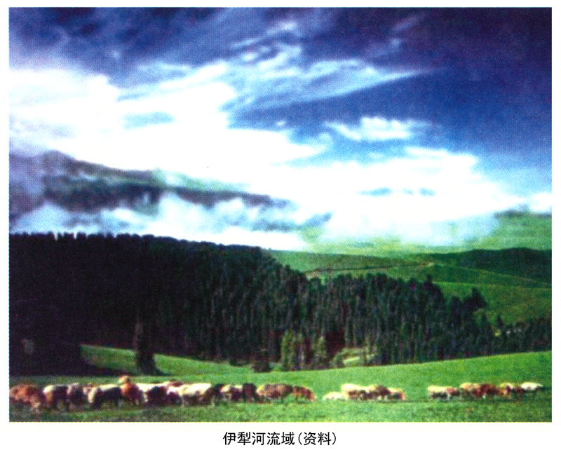 公主和亲到乌孙,公主嫁给乌孙王