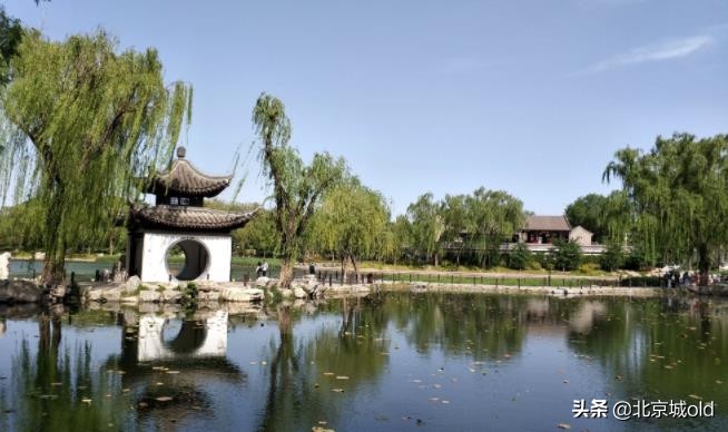 北京人的记忆北冰洋,陶然亭大雪山对北京孩子的意义