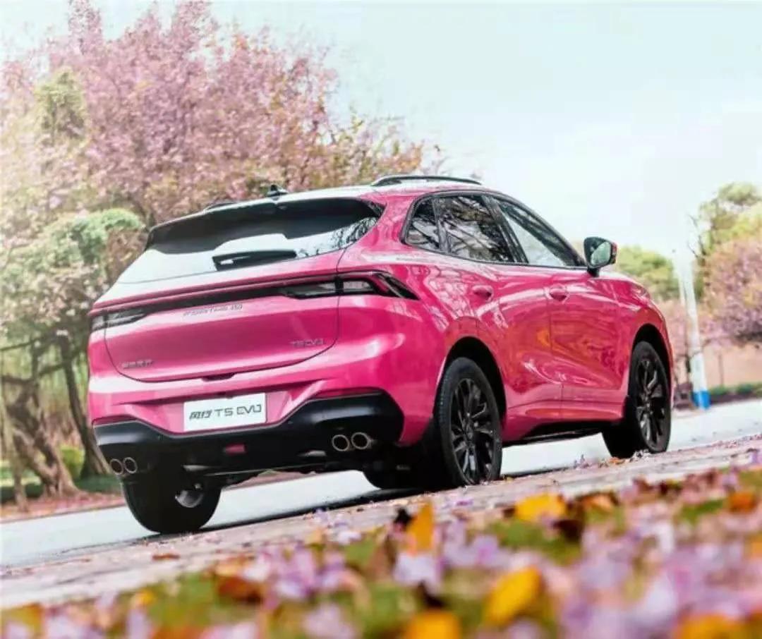 东风风行到底行不行,东风风行景逸行不行