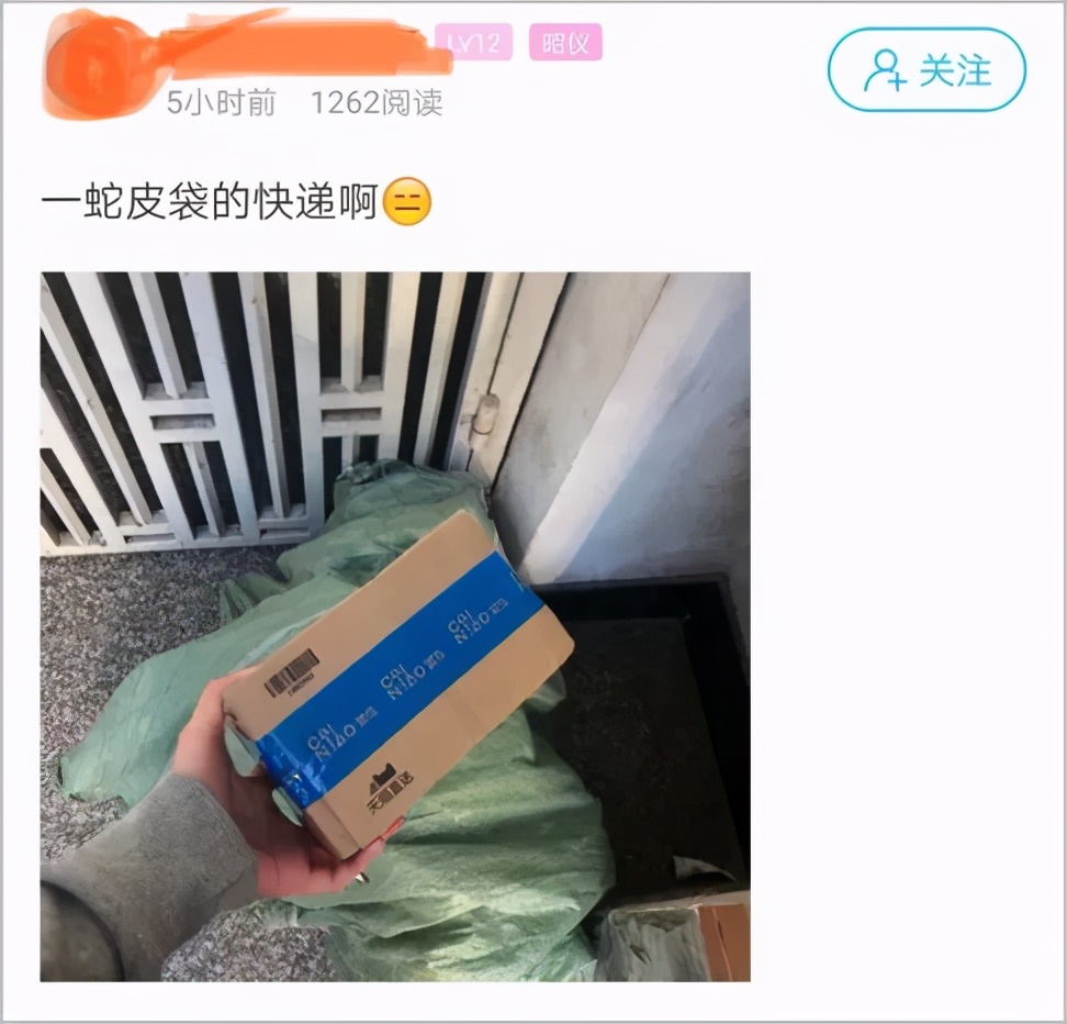 宁波双11现状 (宁波的双11)