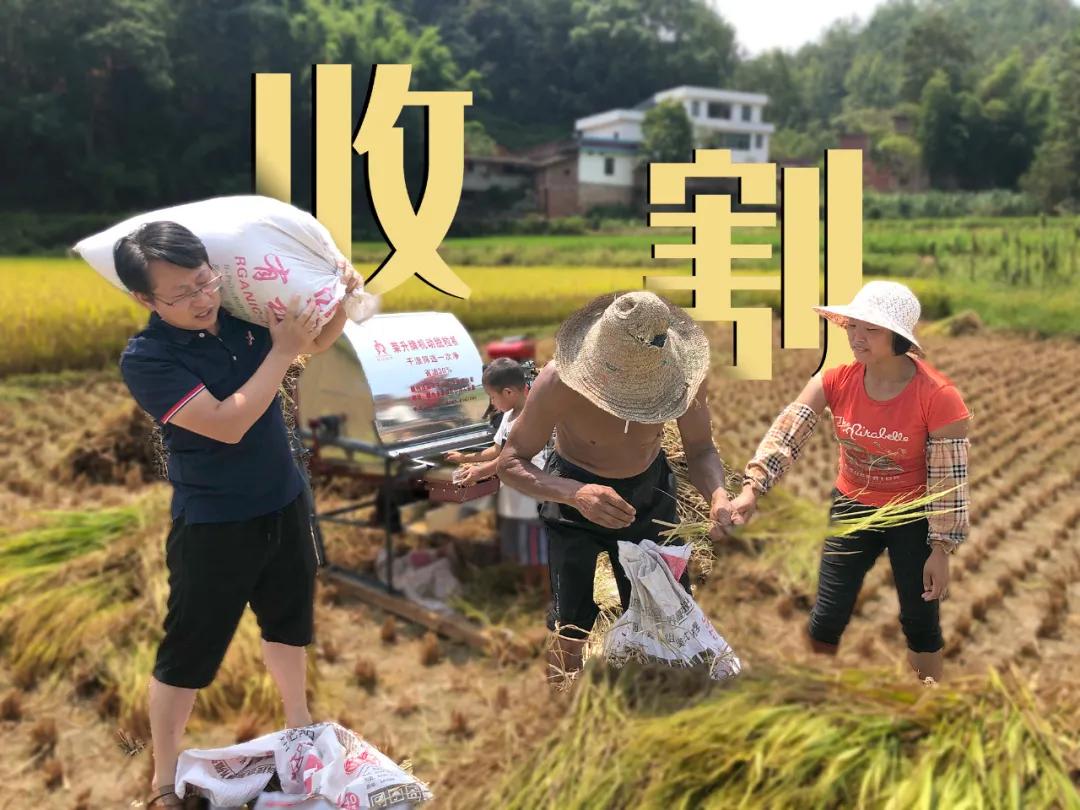 贴贴贴贴贴贴贴贴贴