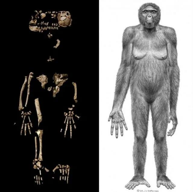 全球25个逆天*物文**