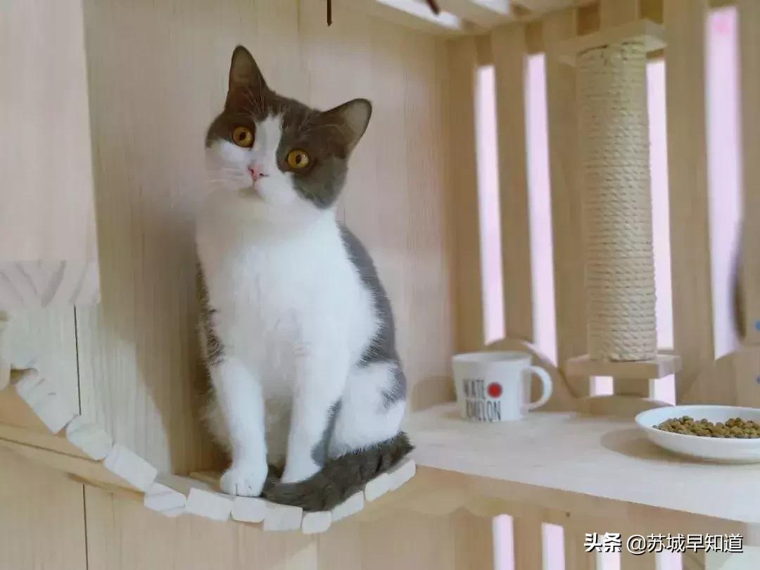 苏州平江路万达广场,苏州万达广场平江店