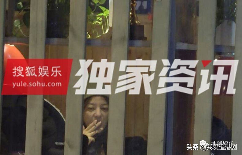 赵薇向男友人索吻,赵薇遭猴子索吻