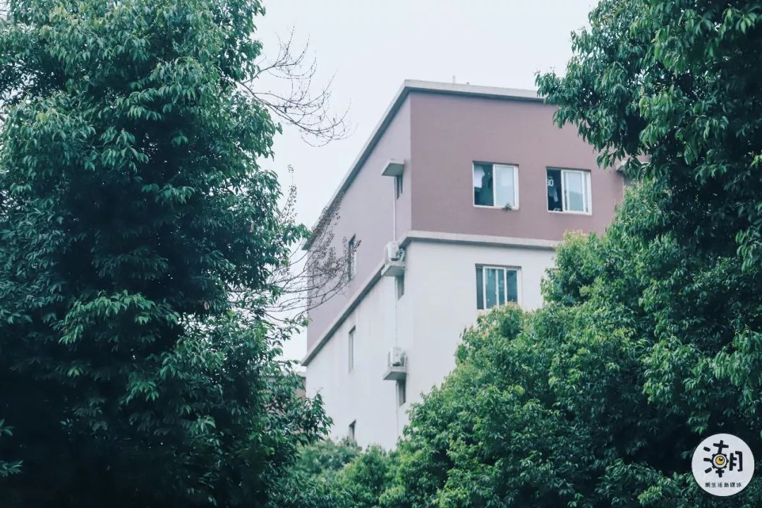 閿﹀煄鐨囧璐垫棌瀛﹂櫌,鎴愰兘閿﹀煄璐垫棌瀛﹂櫌