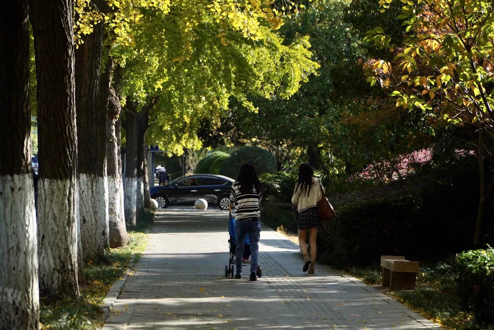 养老圣地苏州,苏州被遗忘的古镇