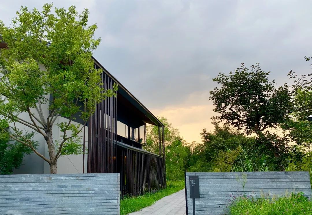 ifer来信|if带给我的峰值体验，幸福且美好