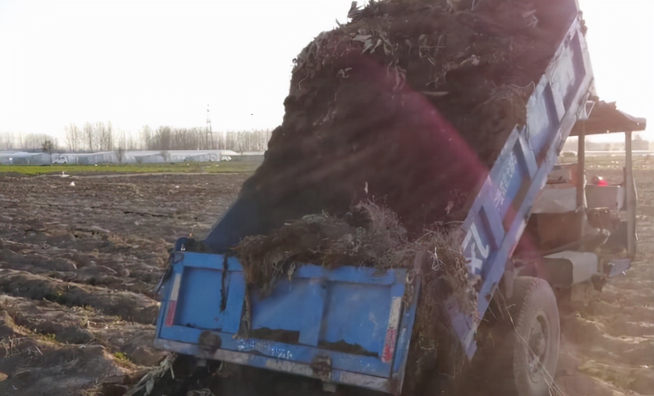 各种粪肥有什么作用,大田粪肥增产