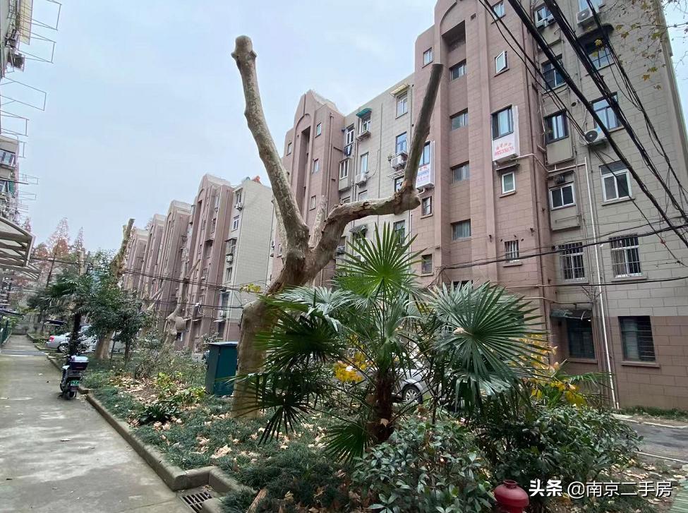 环境很好的老小区,环境好老小区