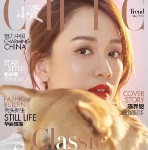 哪些明星养猫最好养,盘点明星们养的宠物