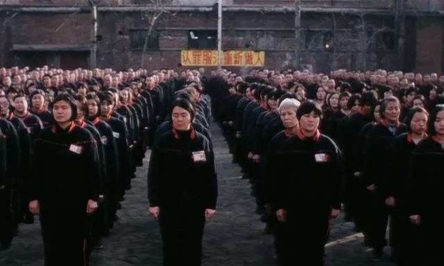 可惜没在中国上映的电影,李冰冰05年电影