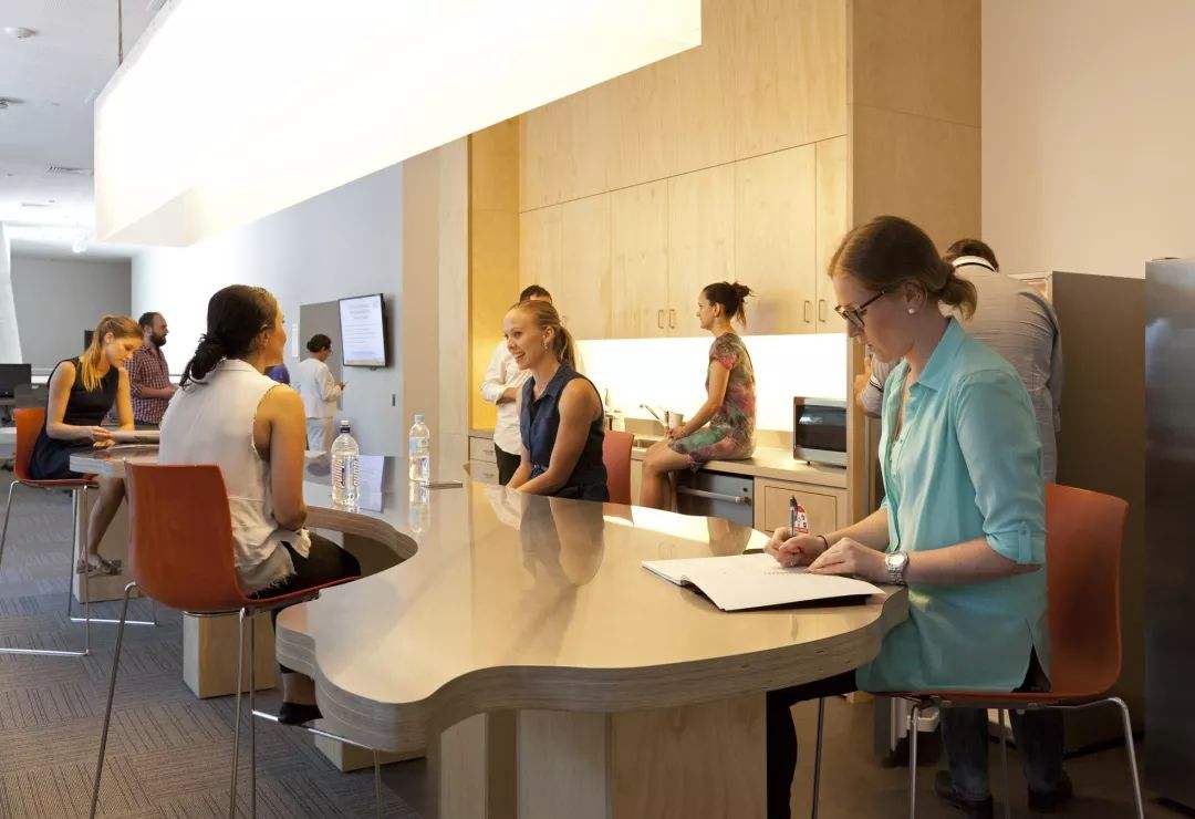 西交利物浦大学是个什么大学,西交利物浦大学需要什么条件