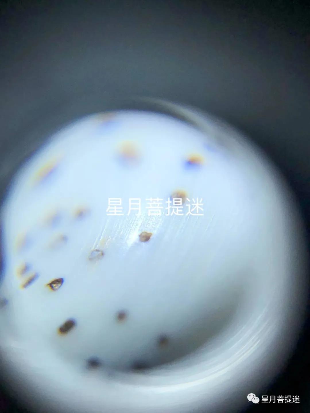 紫金鼠和星月菩提哪个更值得盘玩,星月菩提无相值得盘吗