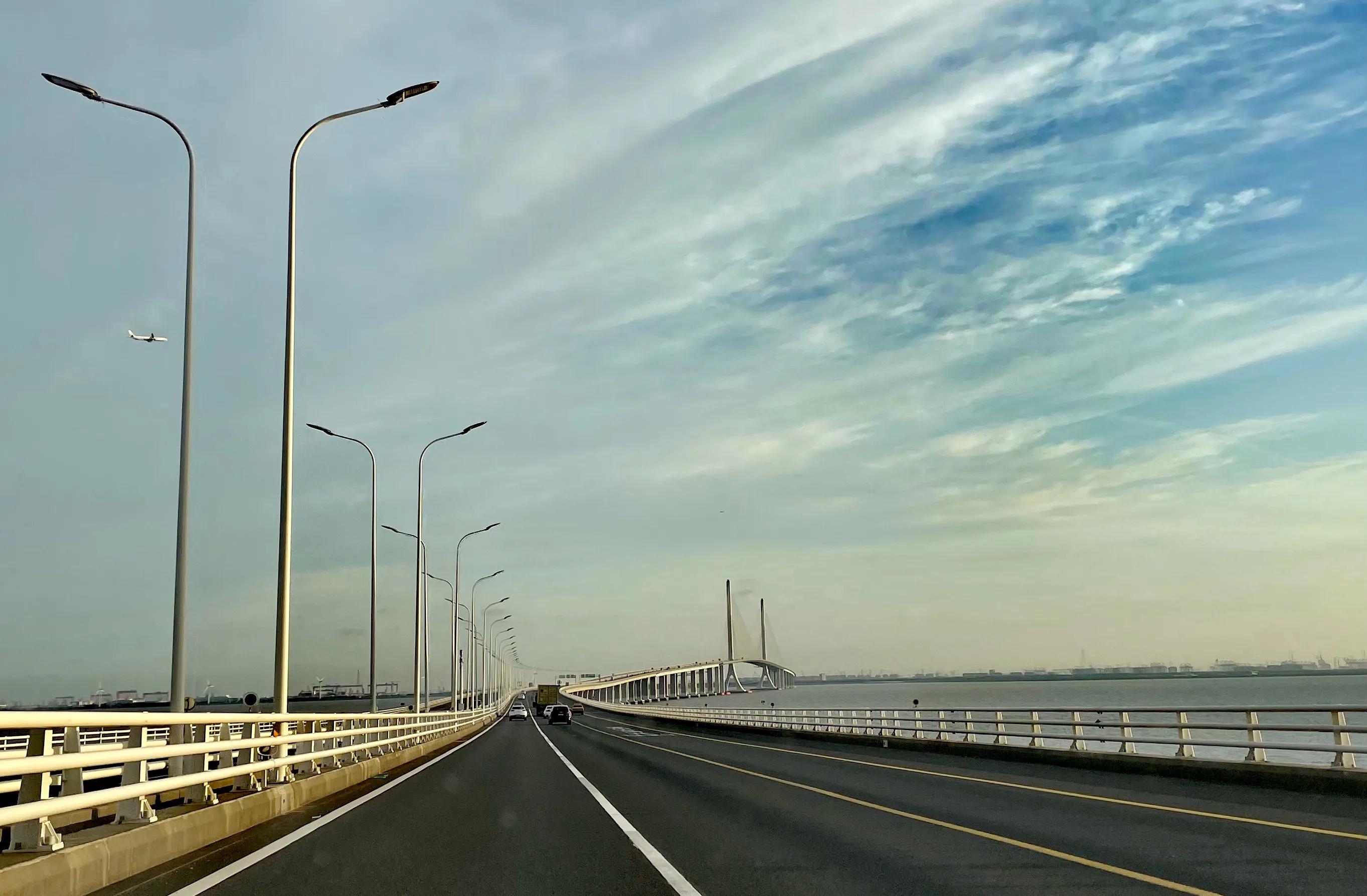 关于崇明花博会,崇明花博会全程花景