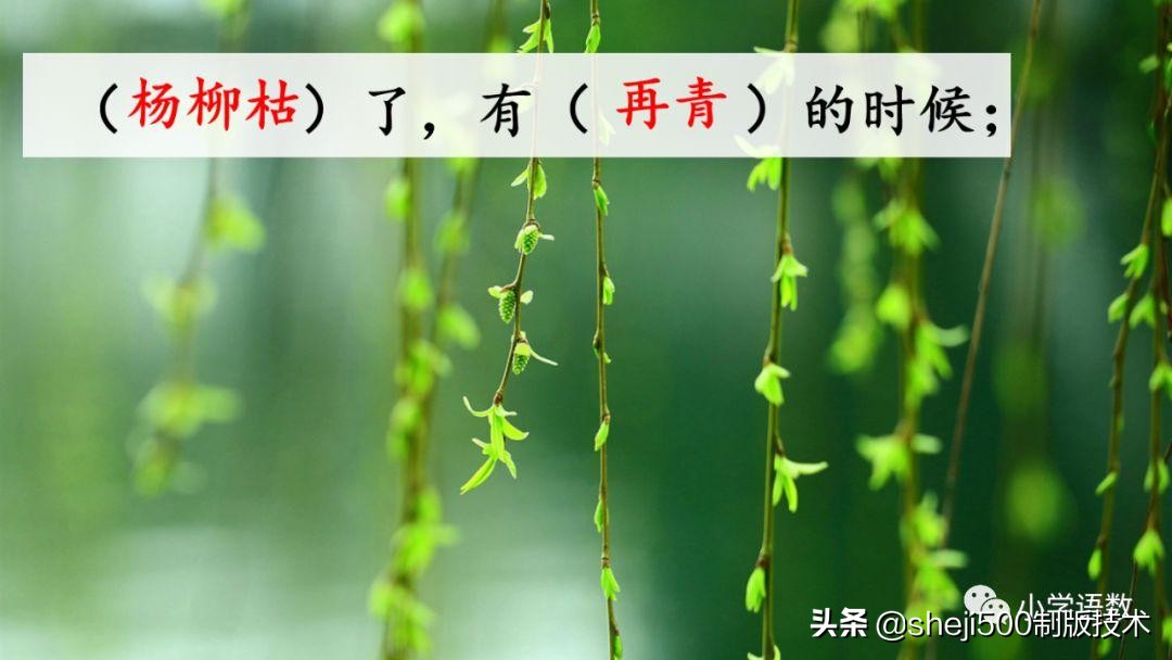 六年级下册语文书8课匆匆的预习,部编版六年级下第八课匆匆讲解