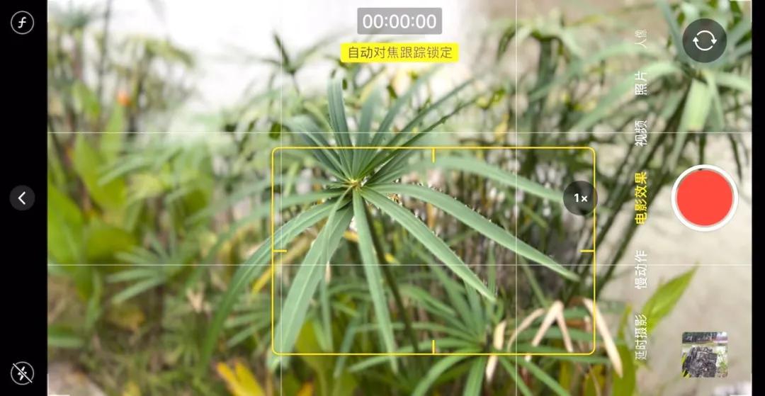 新手必看最新iphone相机教程,iphone自带相机拍摄技巧