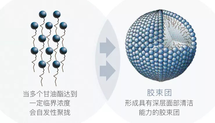 新版贝德玛,贝德玛什么版本最好