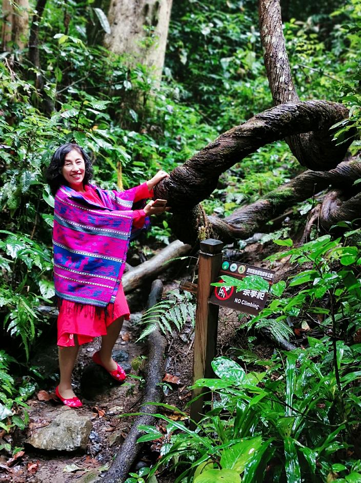 了解西双版纳的风俗和民族文化,西双版纳哈尼族特色民族文化