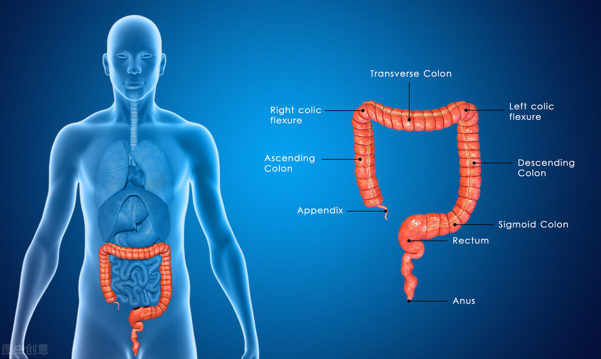肛门瘙痒痔疮需要做肠镜吗,屁股不舒服痒怀疑痔疮