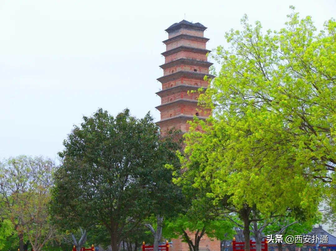 蒲城县好吃的地方推荐晚上,蒲城吃的最多的地方