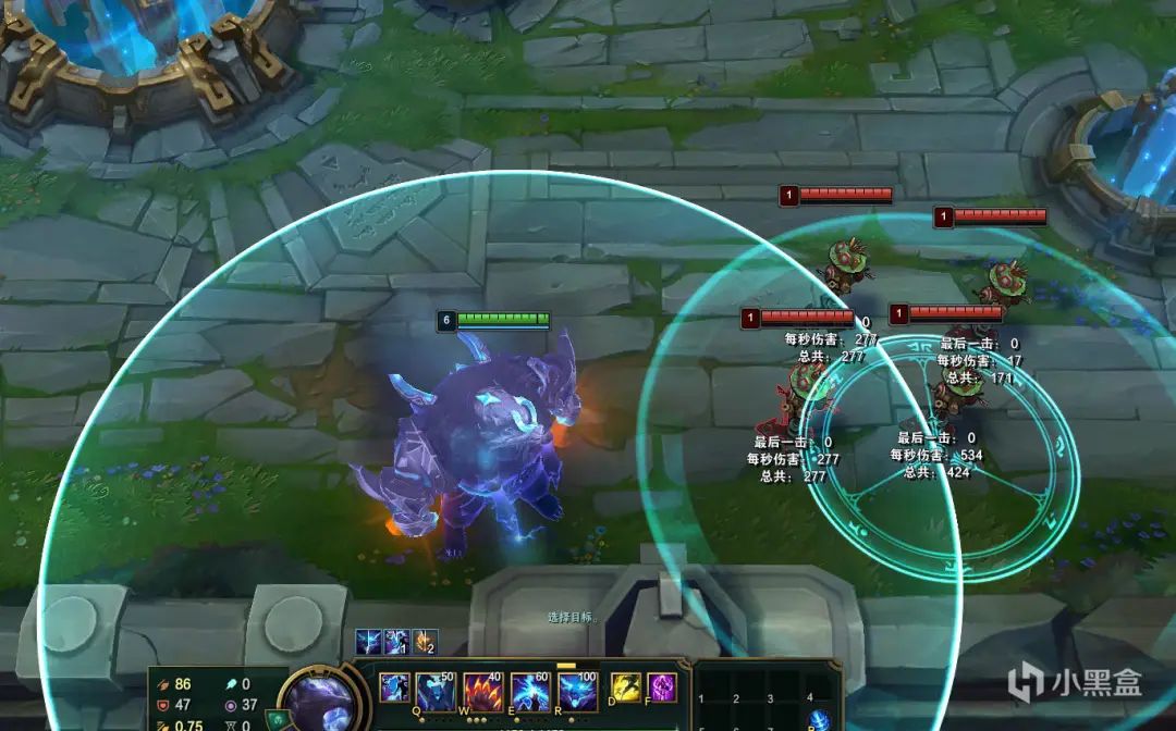 英雄联盟狗熊重置不灭狂雷,英雄联盟速推ap狗熊