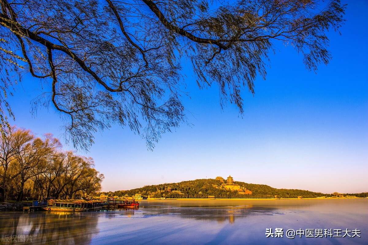 肾功能慢性衰竭失眠怎么调理,肾阳虚会尿频尿急尿不尽夜尿多吗