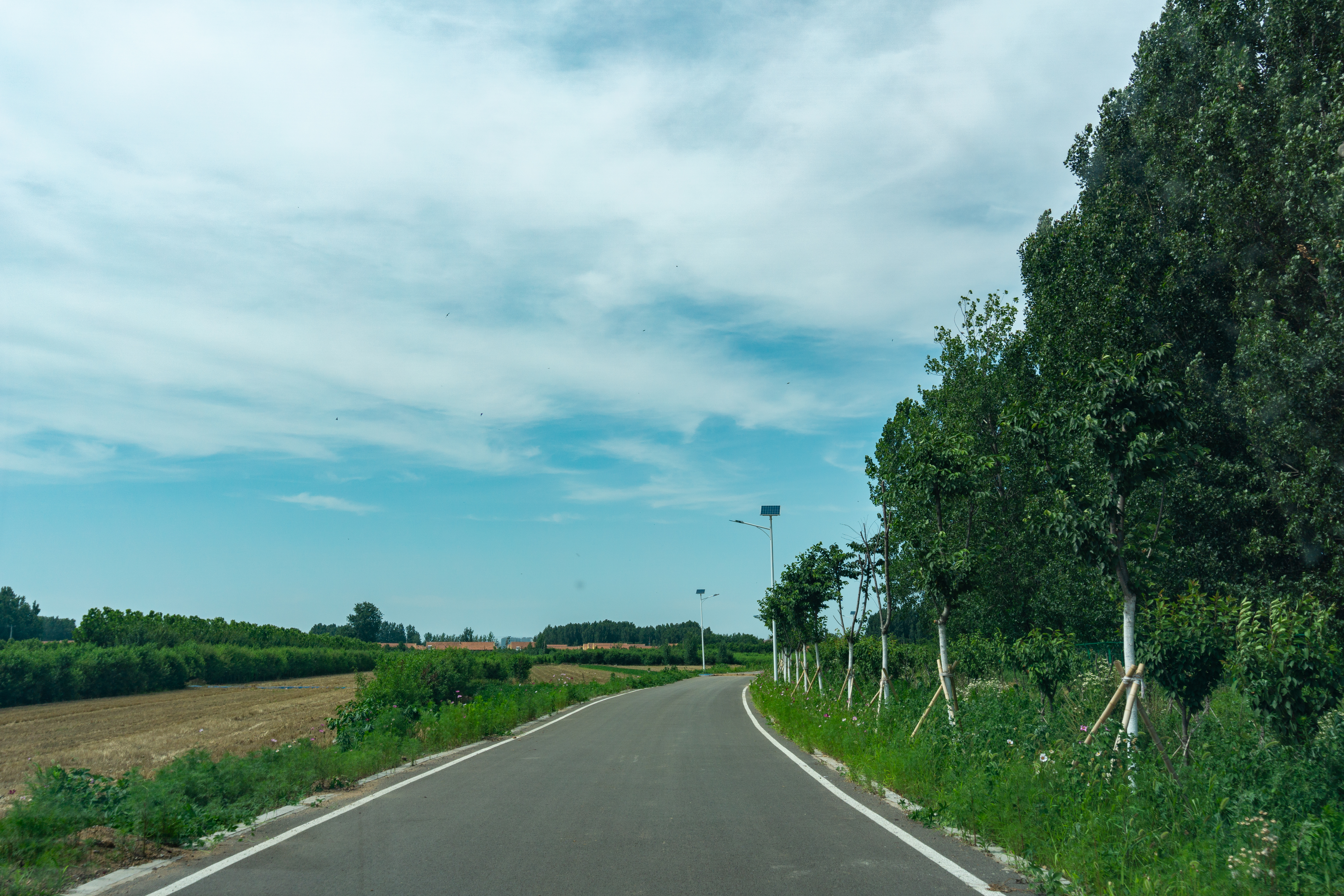 诸城人文地理,山东诸城有什么名胜