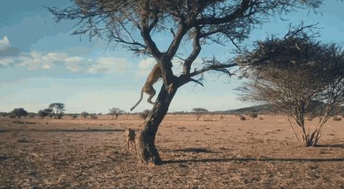 15岁怀孕,她被骗吃下*药炸**,一尸两命:有些人,这辈子不配为人