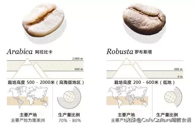咖啡入坑路线,入坑咖啡全过程