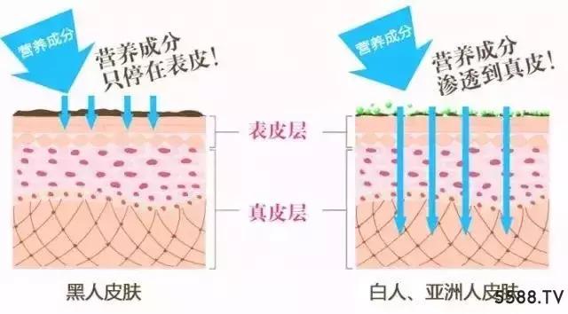 欧美护肤品不适合亚洲人,欧美护肤品和韩妆哪个适合亚洲人