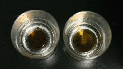 网红瘦腿打底裤测评,网红塑形瘦腿裤