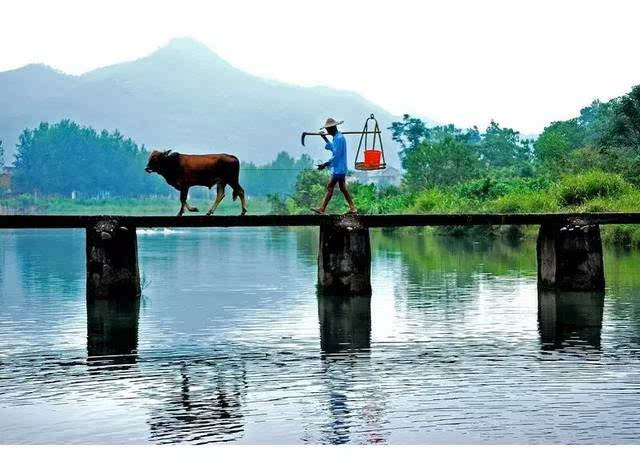 乡村版的都市爱情小说,农村爱情故事的小说