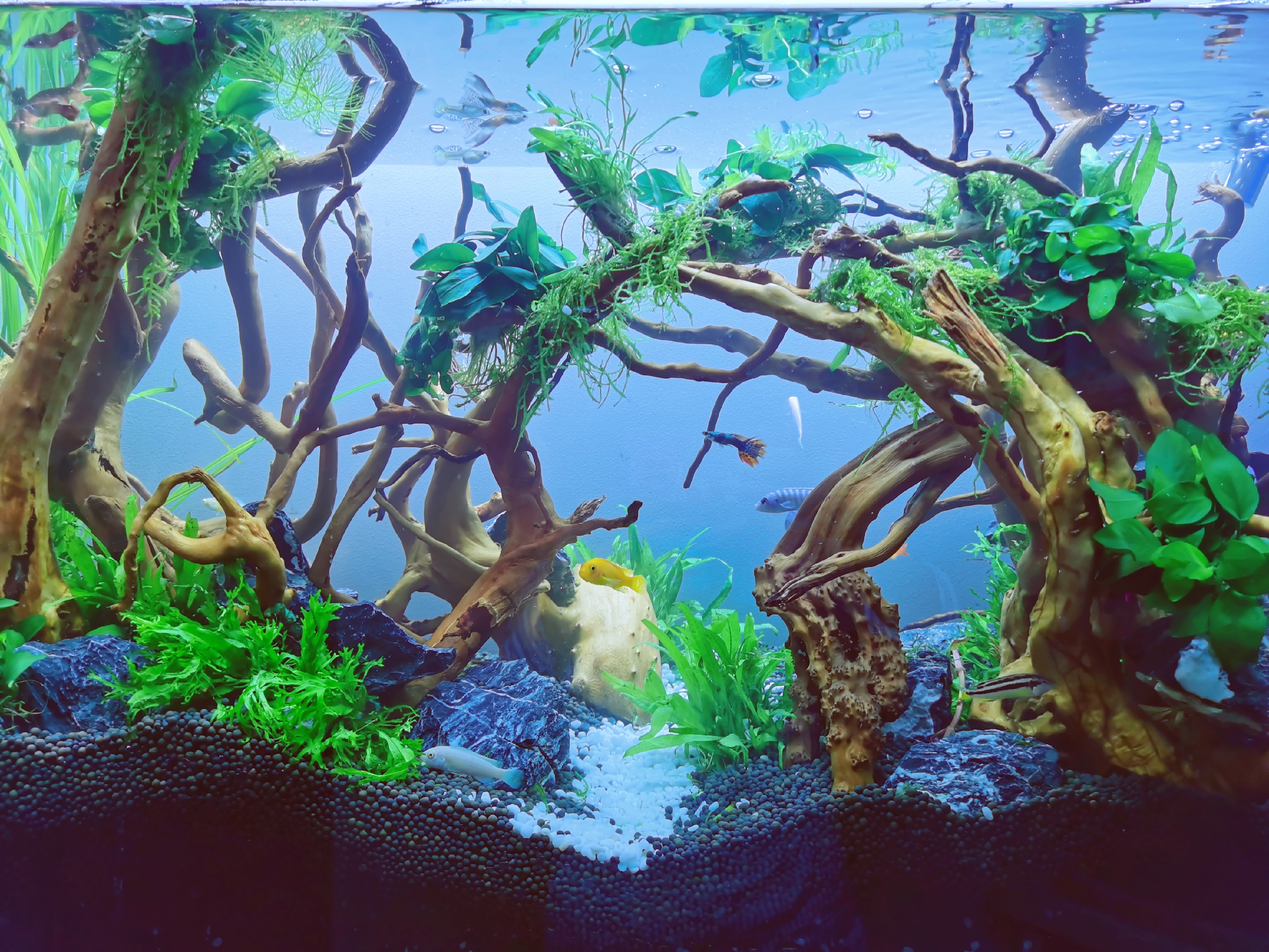 装修软装家电必买清单,新房子软装必买清单