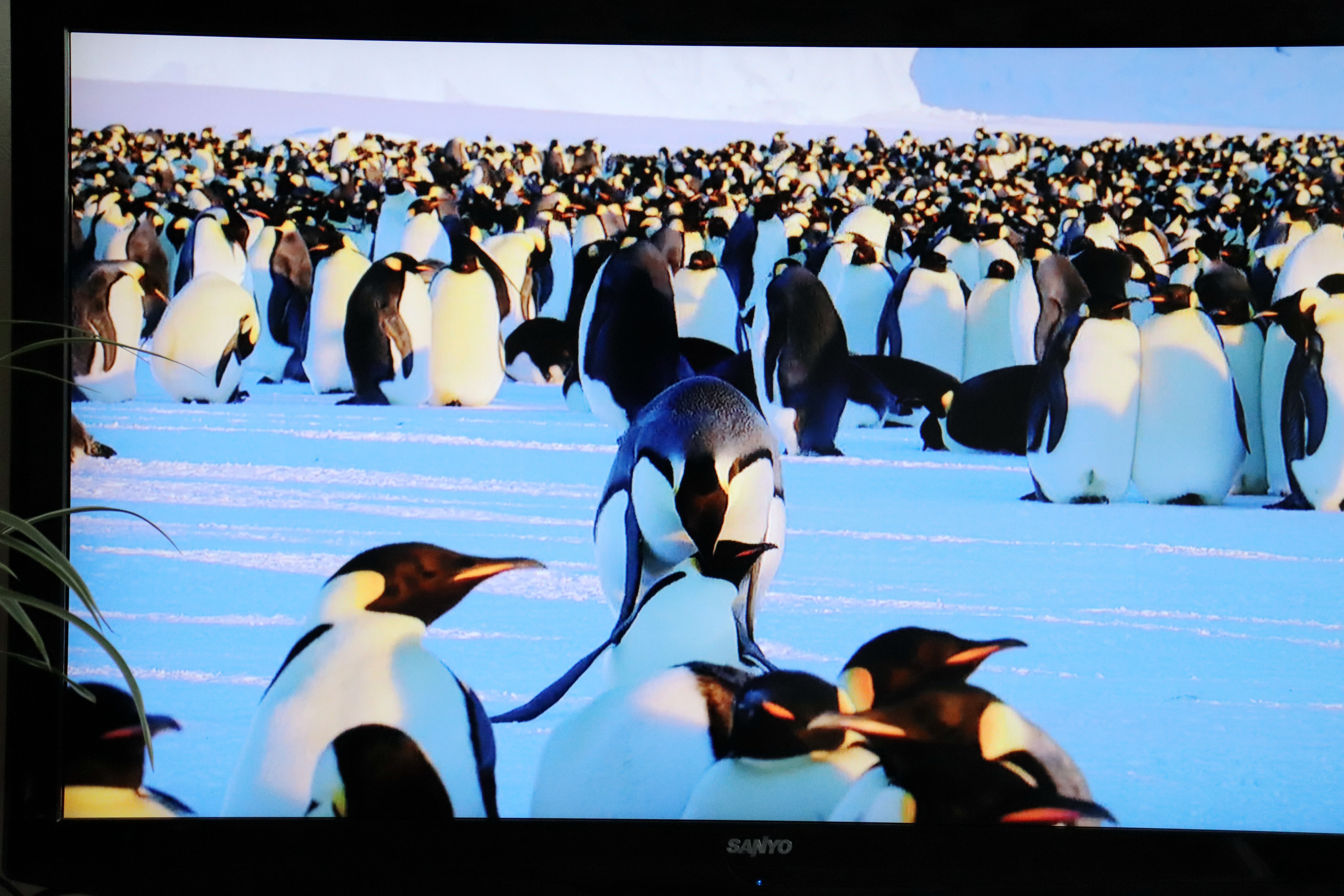 泰捷WE60Pro电视机顶盒,泰捷60c升级版电视盒子评测