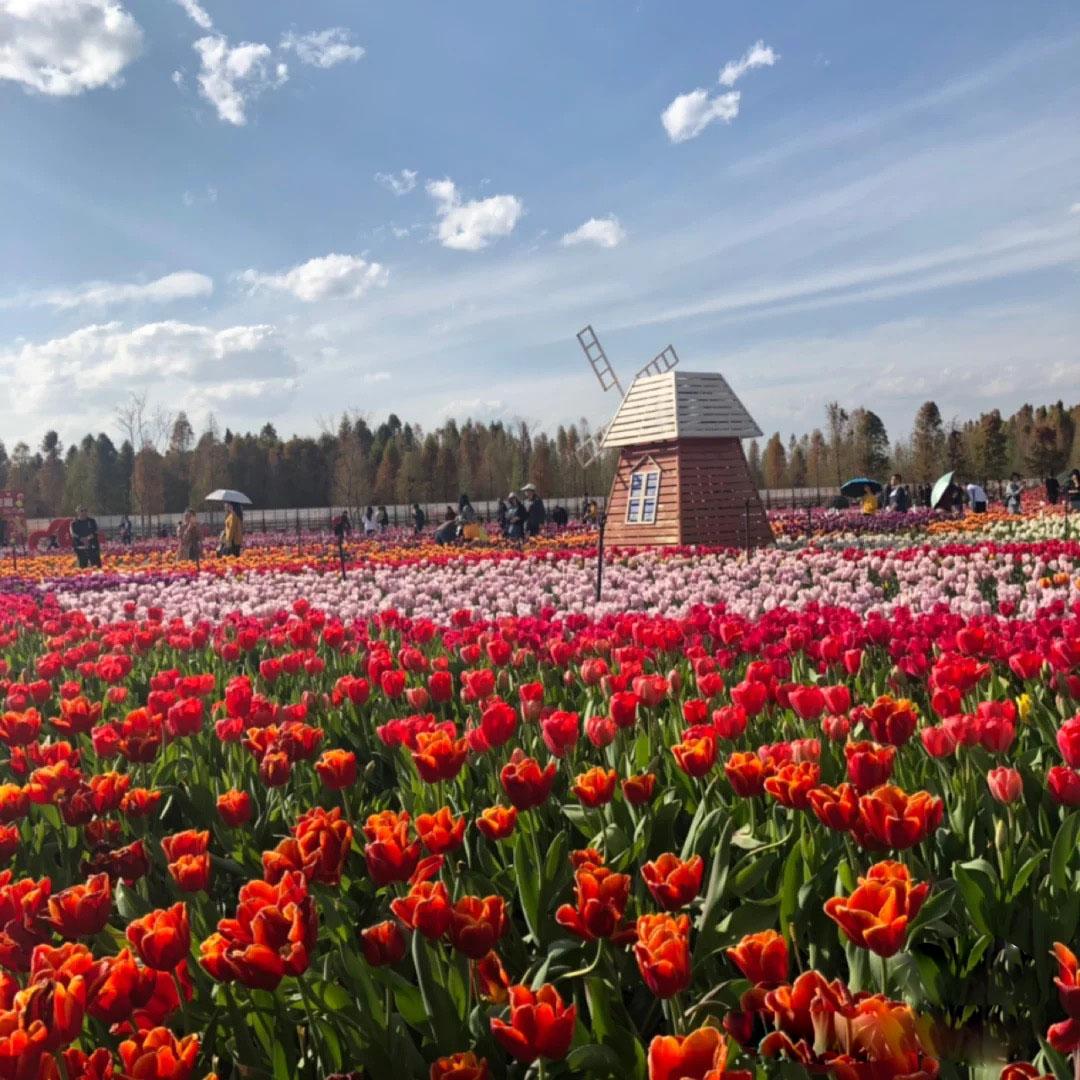 昆明亲子游自驾游攻略推荐路线,昆明周末亲子游十大好去处