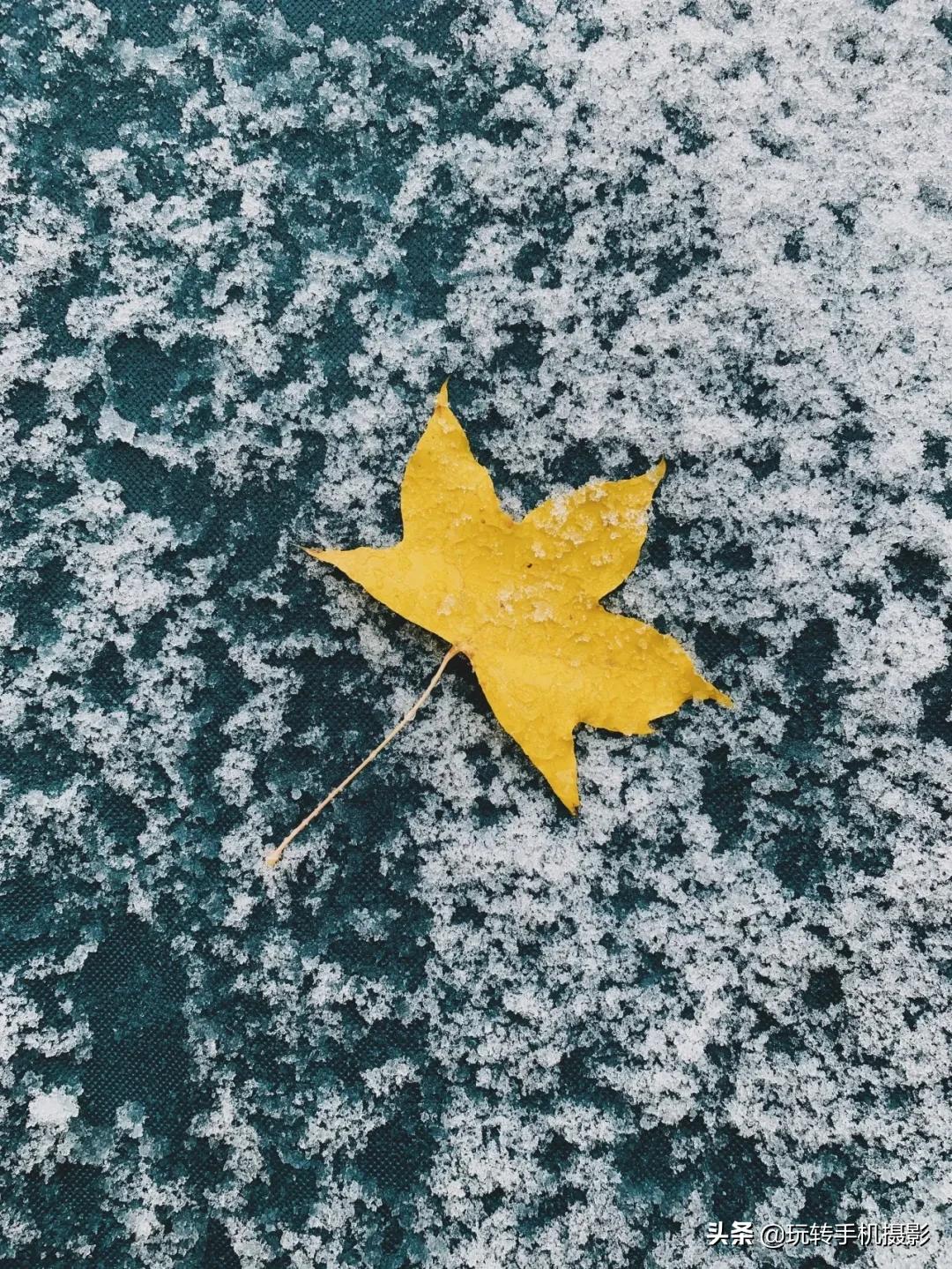 朋友圈赞爆的美照,雪景美爆朋友圈