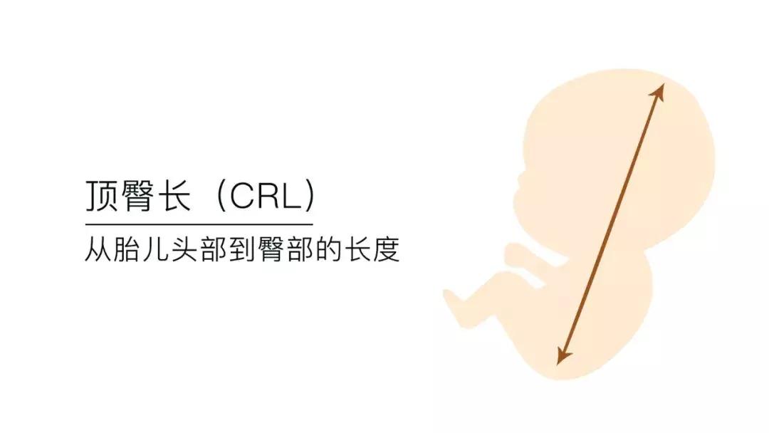 B超单的秘密，你看懂了？