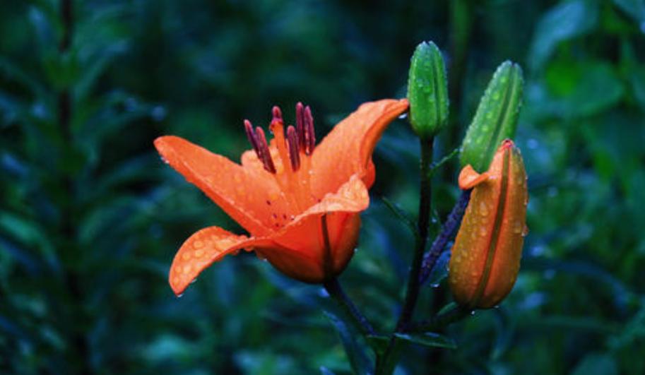 李贺最著名的十首鬼诗,李贺写的最诡异的一首诗是什么诗