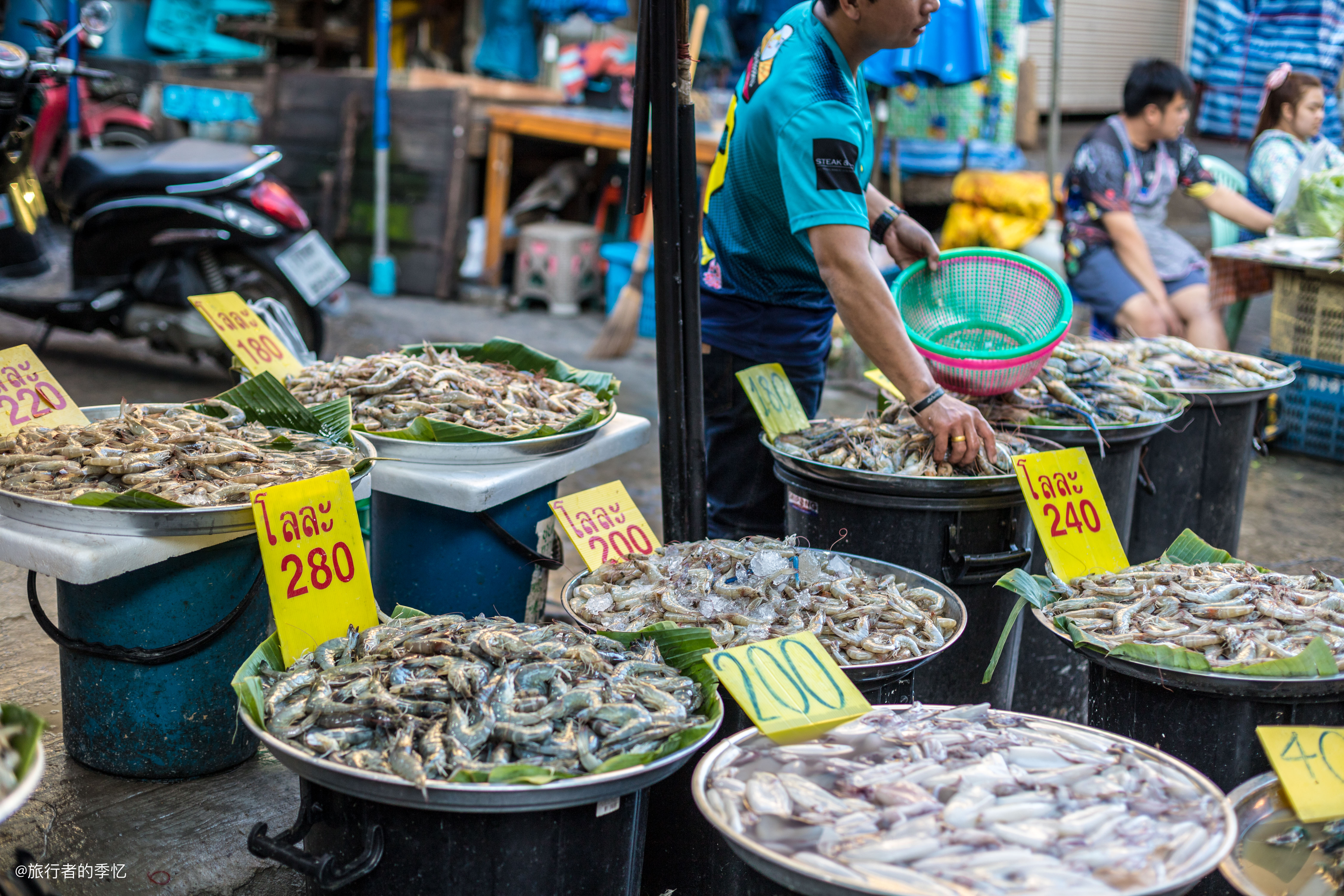清迈夜间动物园旅游攻略,清迈到曼谷自驾游攻略