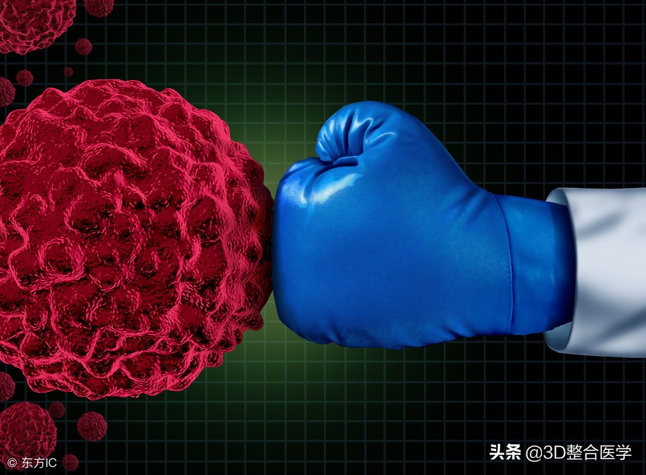 重磅连载第十三期——《3D医学》临床实践之免疫篇