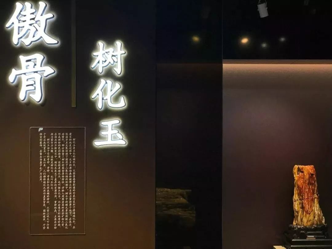 深圳红立方奇石展馆——城市中的一片自然