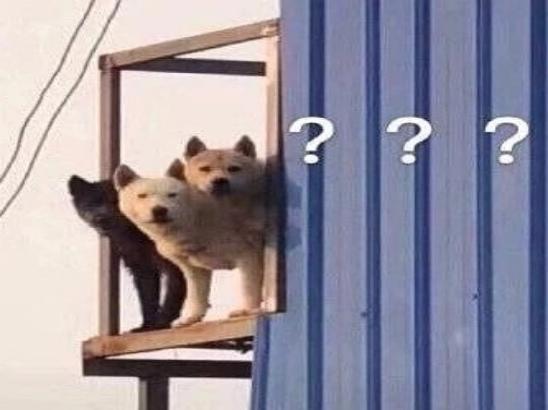 一粒保健品含多少智商税?