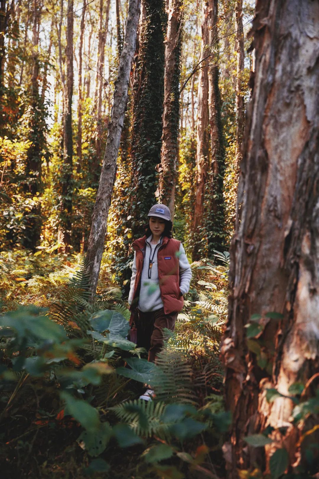 最喜欢的冲锋衣,我最爱的红色冲锋衣
