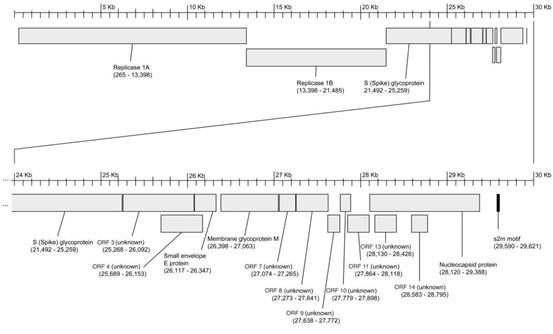 美国激进分子说逮捕比尔盖茨,美国人为什么要求逮捕比尔盖茨