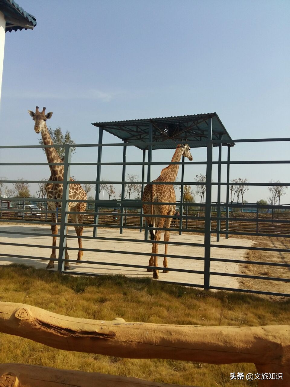 山东德州动植物园旅游区,德州市动植物园视频