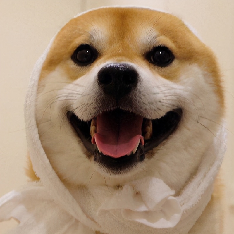 淘宝查搜索排名,淘宝怎么提升搜索排名