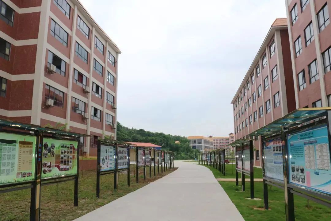 广州珠江职业技术学院高职部,广州珠江职业技术学院成人高考